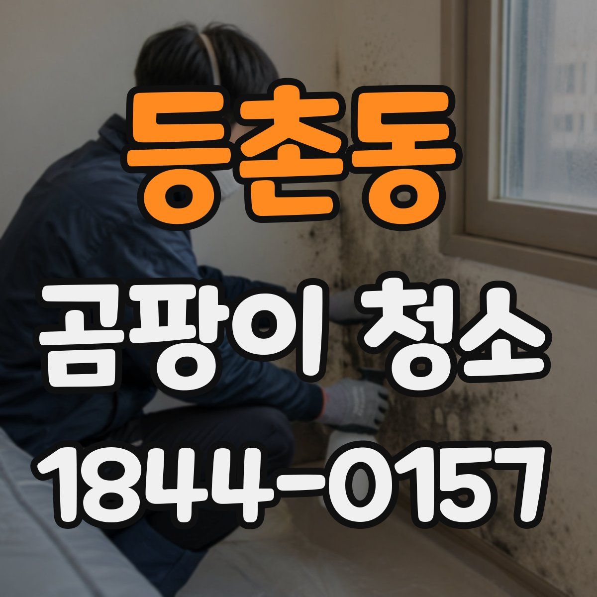 등촌동 곰팡이 청소