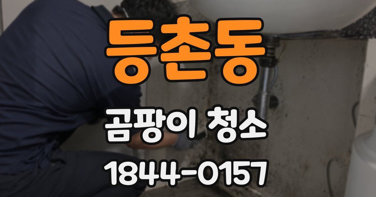 등촌동 곰팡이 청소