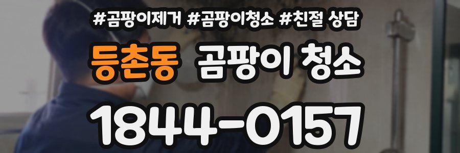 등촌동 곰팡이 청소