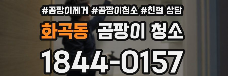 화곡동 곰팡이 청소