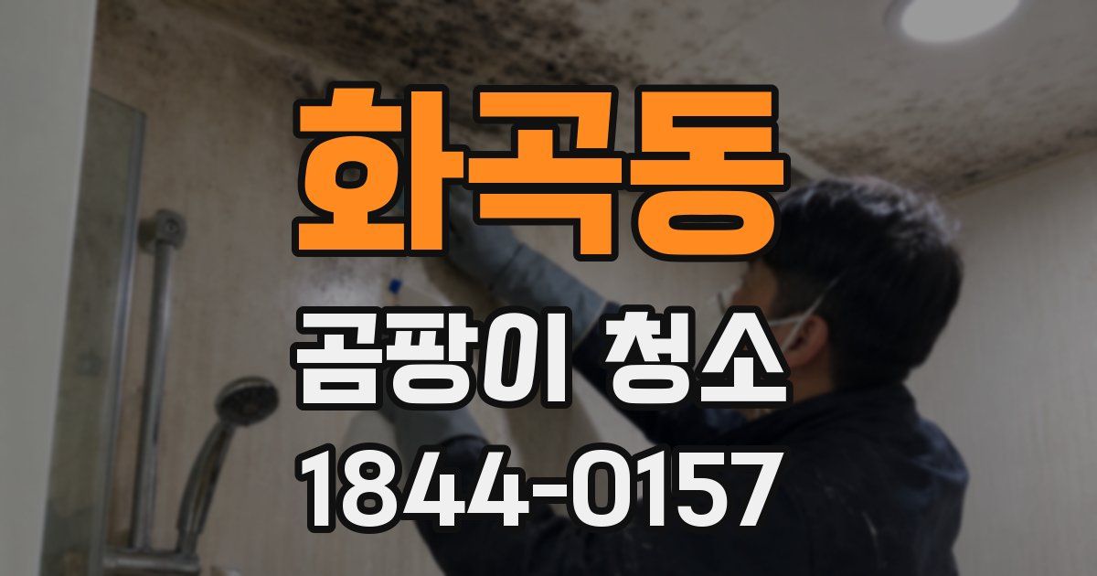 화곡동 곰팡이 청소