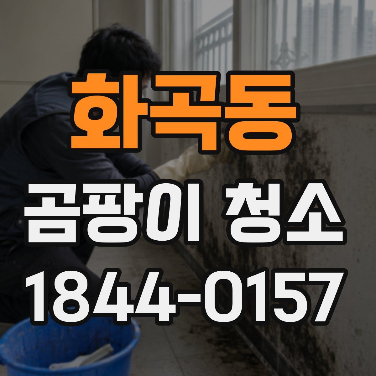 화곡동 곰팡이 청소