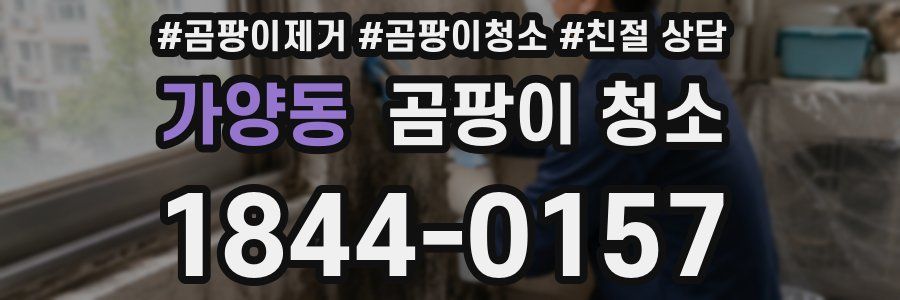 가양동 곰팡이 청소
