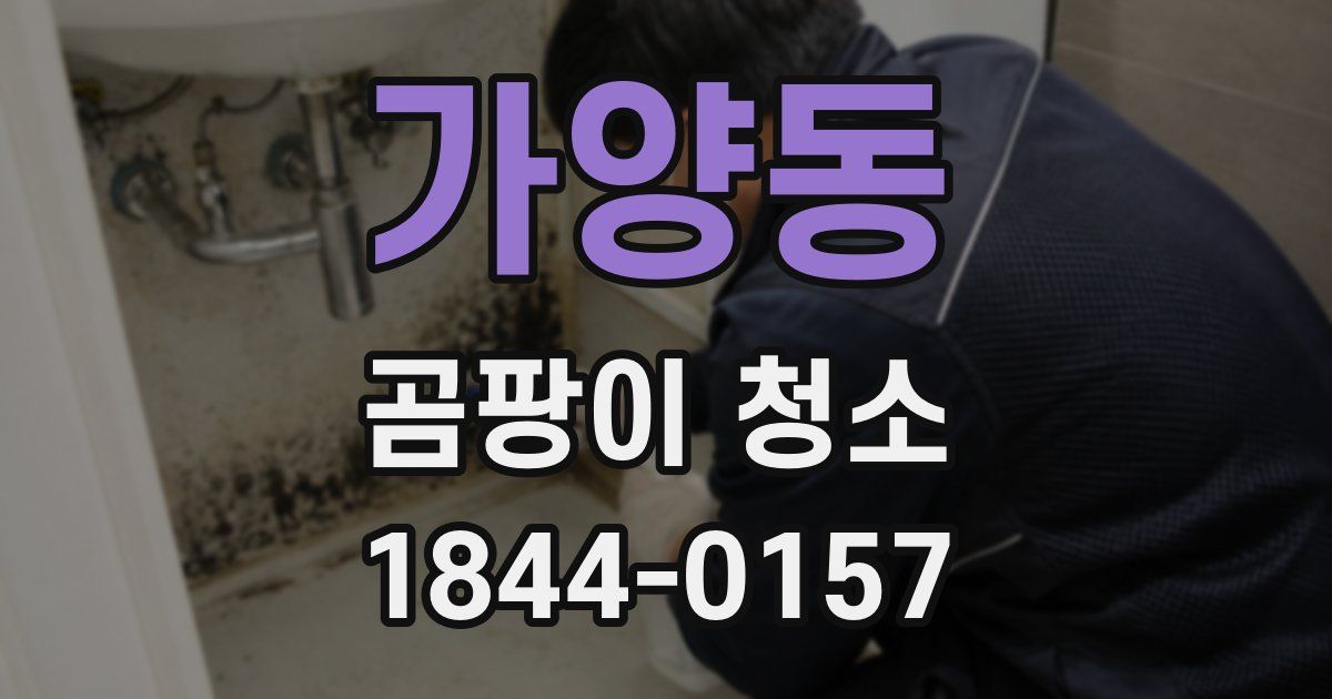 가양동 곰팡이 청소
