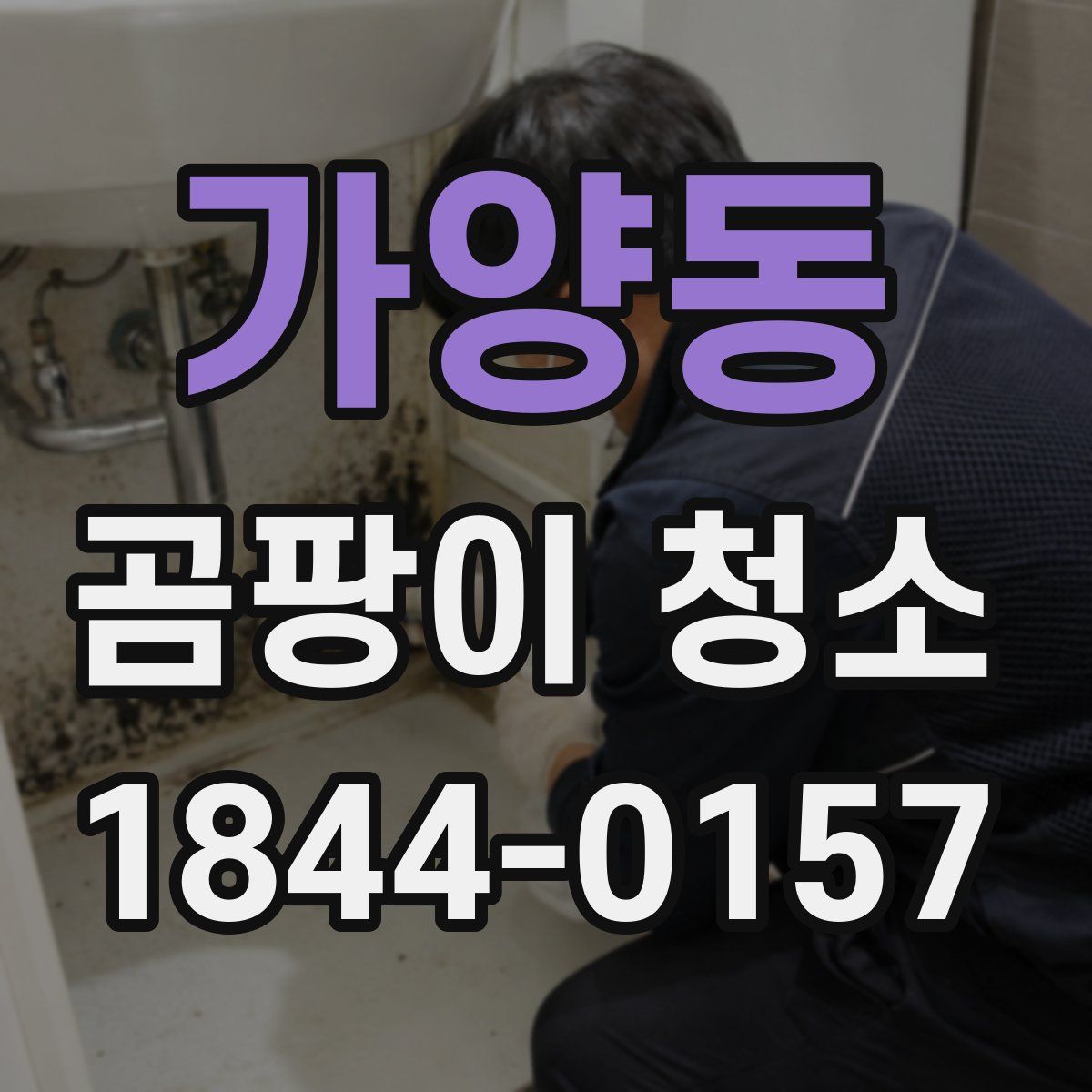 가양동 곰팡이 청소