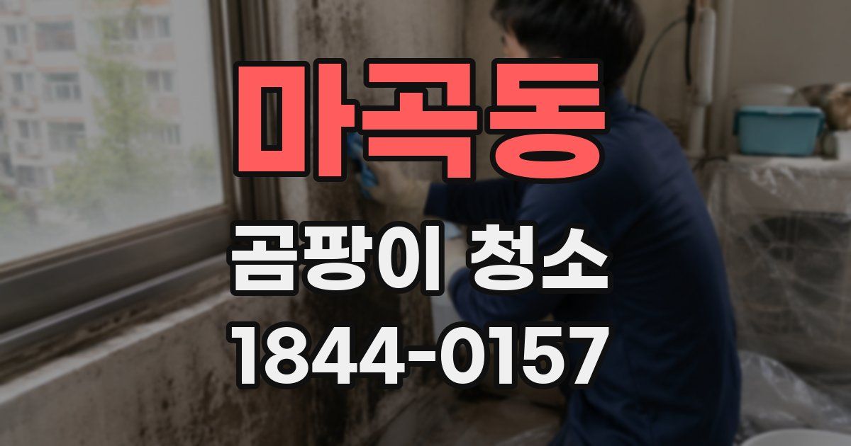 마곡동 곰팡이 청소