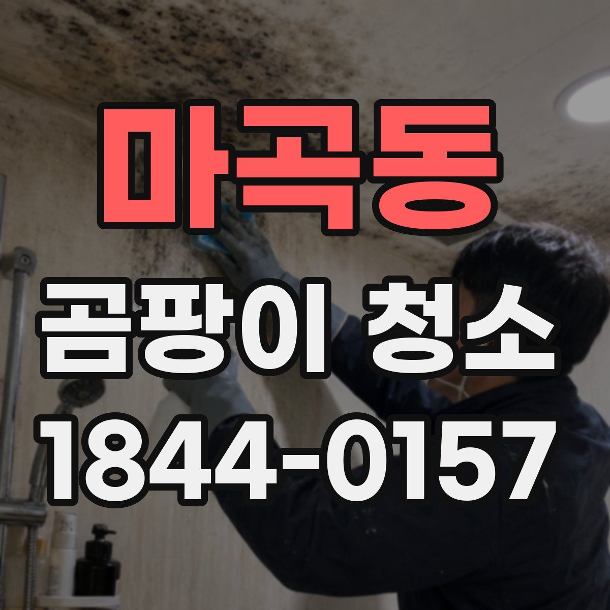 마곡동 곰팡이 청소