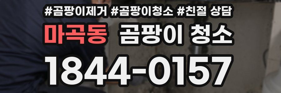 마곡동 곰팡이 청소