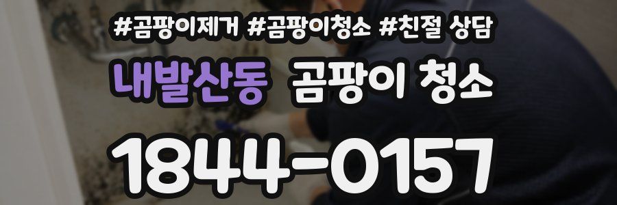 내발산동 곰팡이 청소
