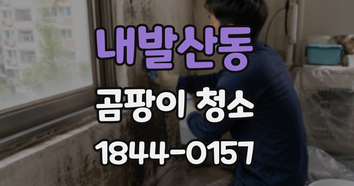 내발산동 곰팡이 청소