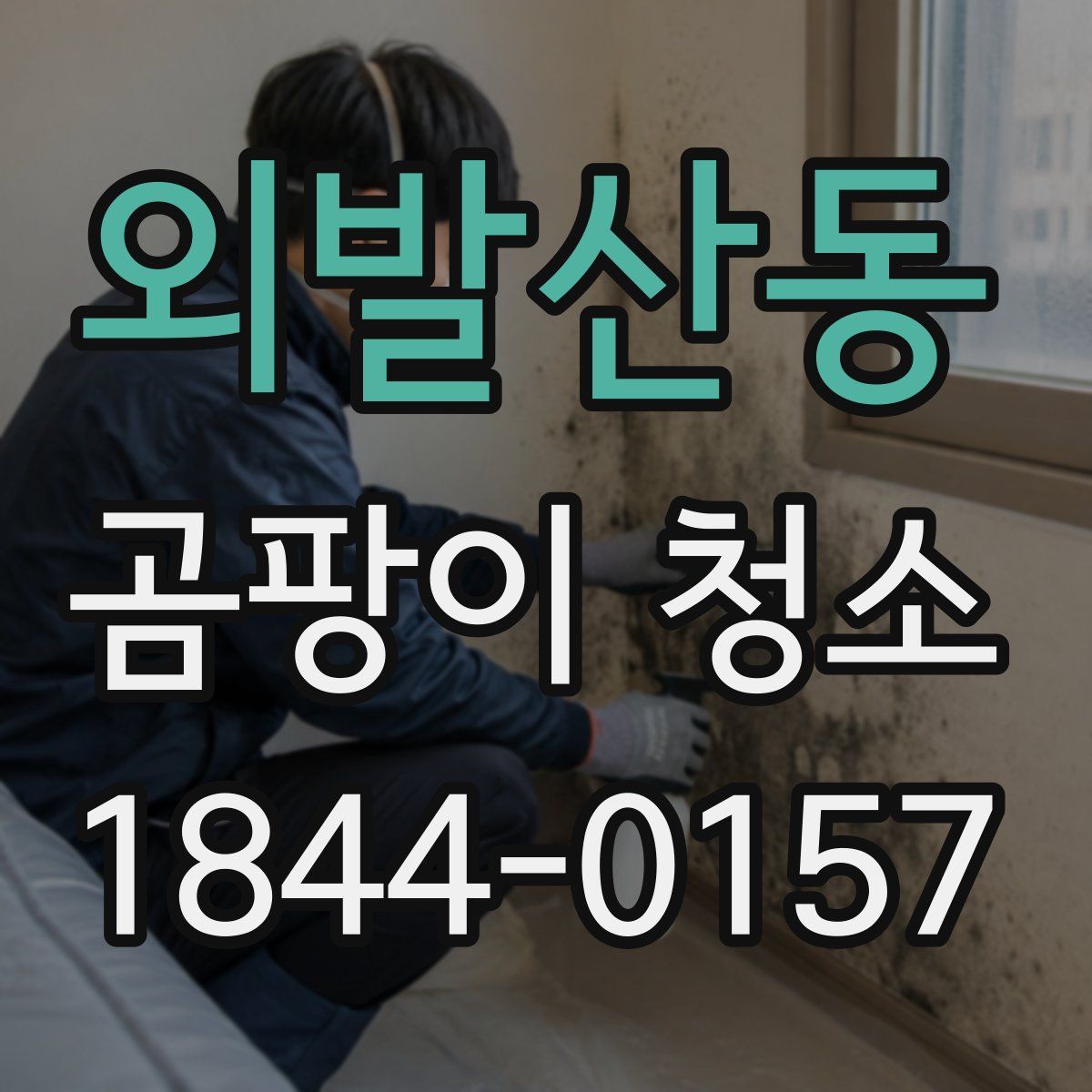외발산동 곰팡이 청소