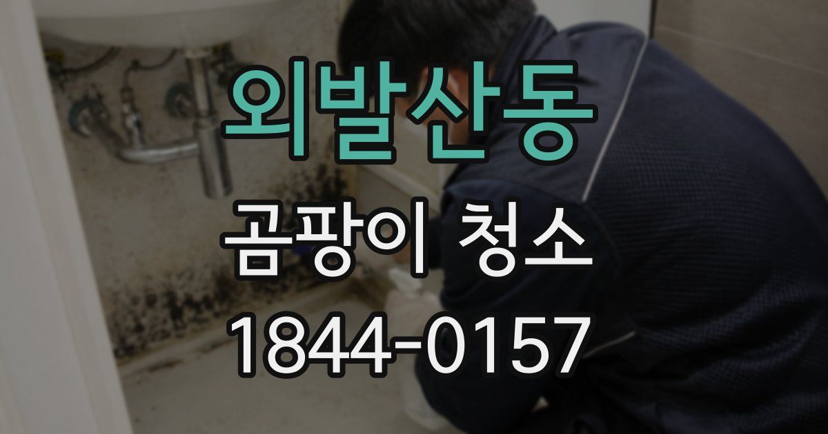 외발산동 곰팡이 청소