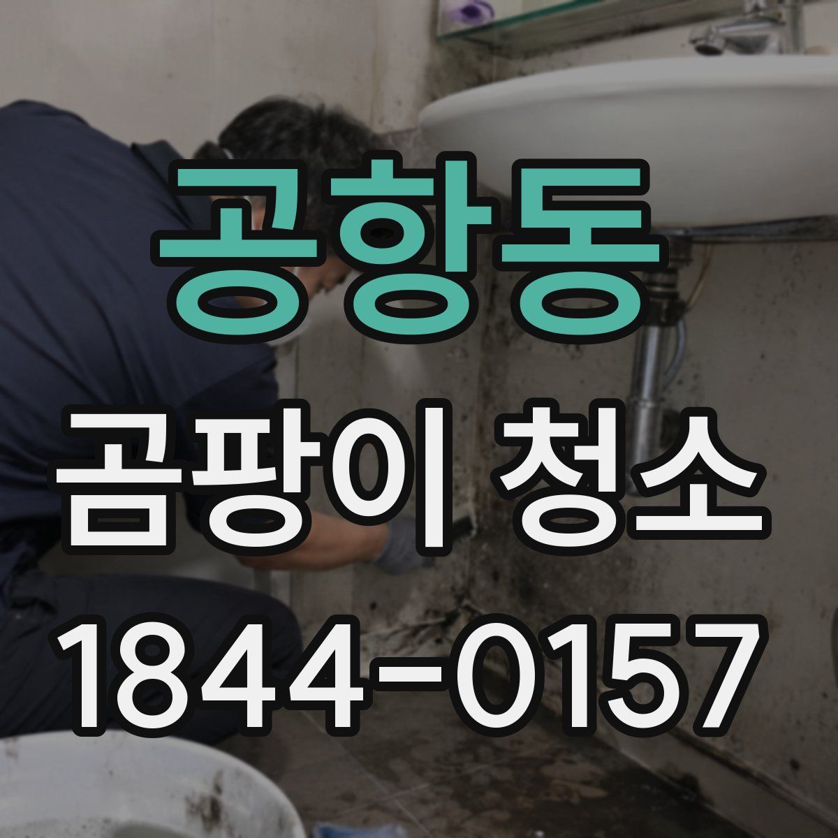 공항동 곰팡이 청소