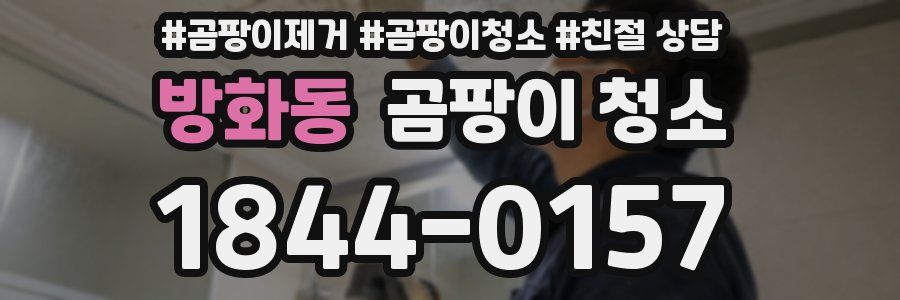 방화동 곰팡이 청소