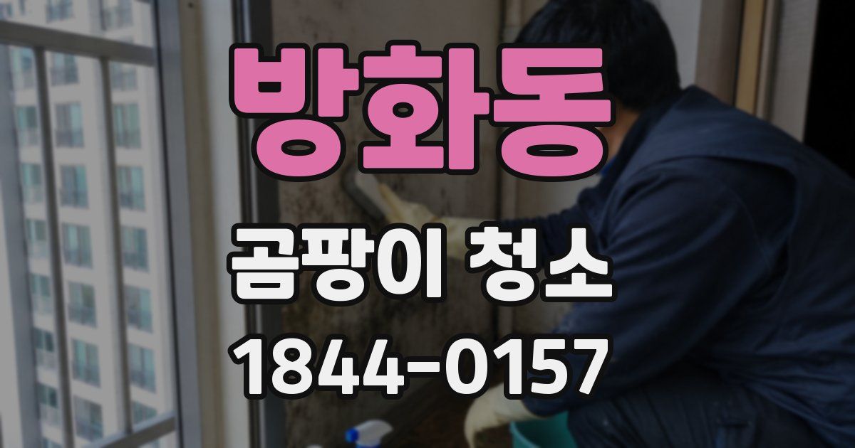 방화동 곰팡이 청소