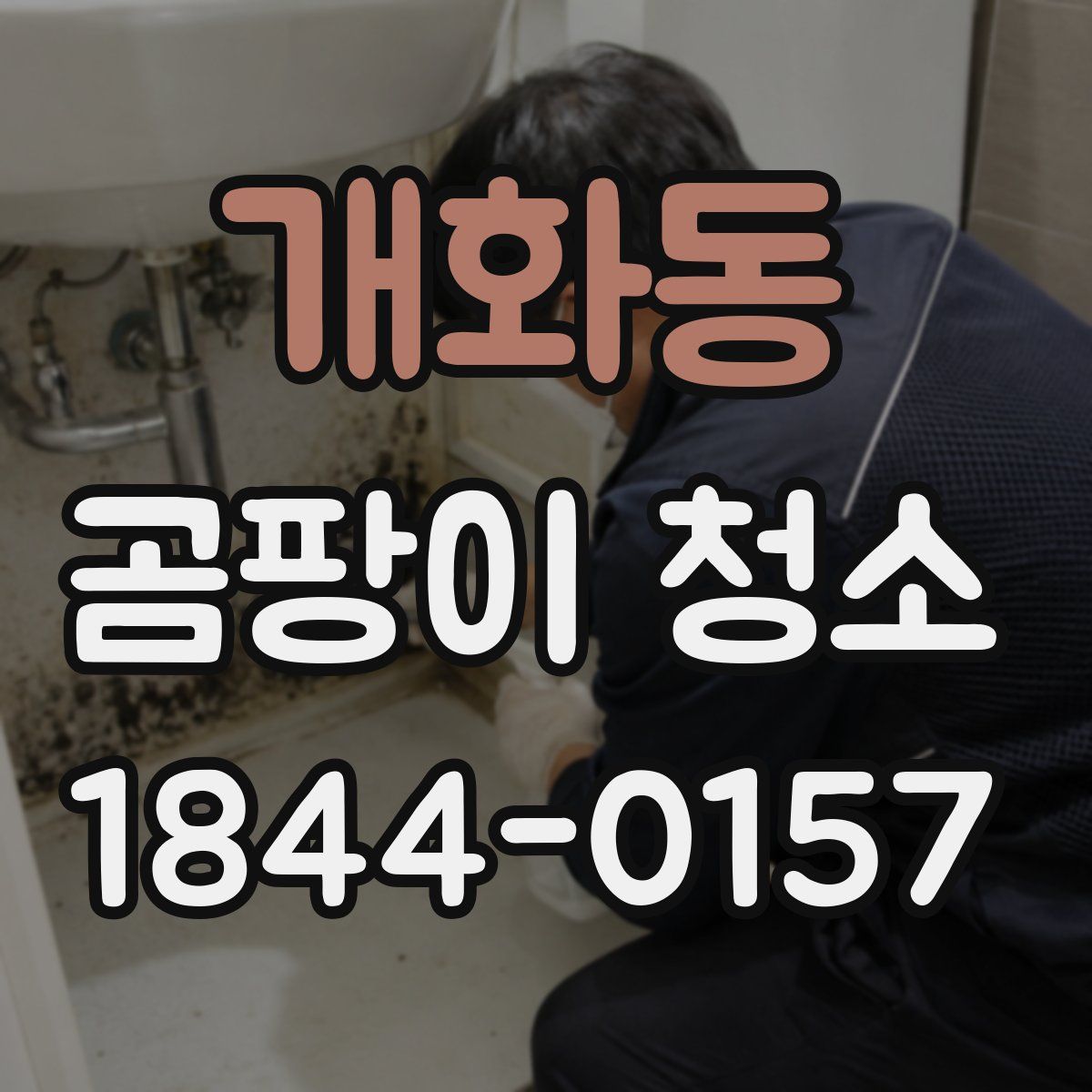 개화동 곰팡이 청소