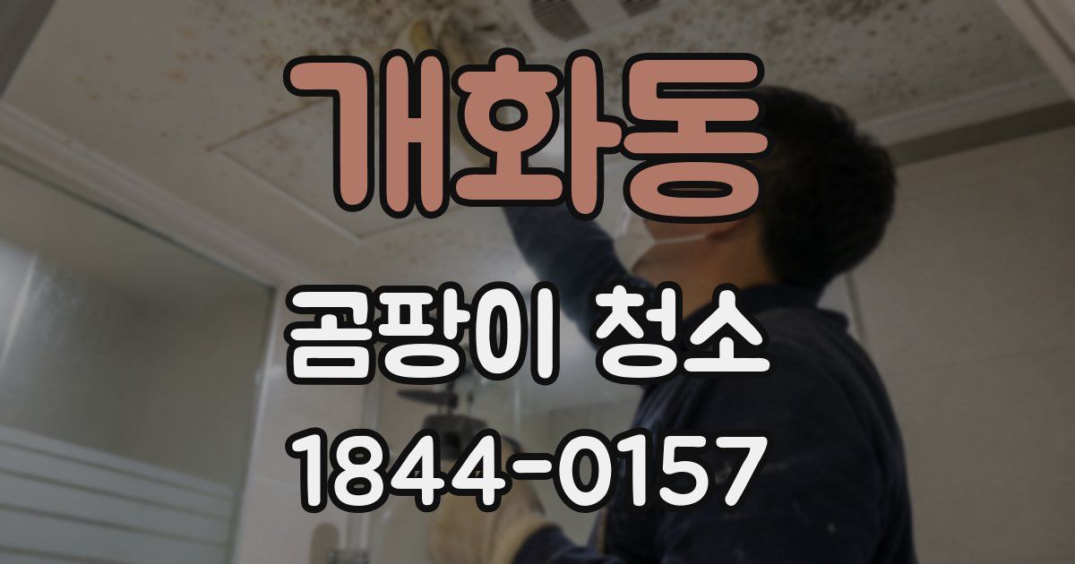 개화동 곰팡이 청소