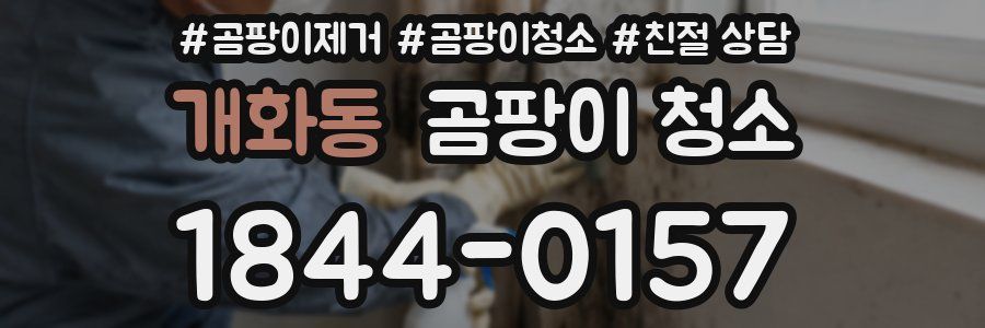 개화동 곰팡이 청소
