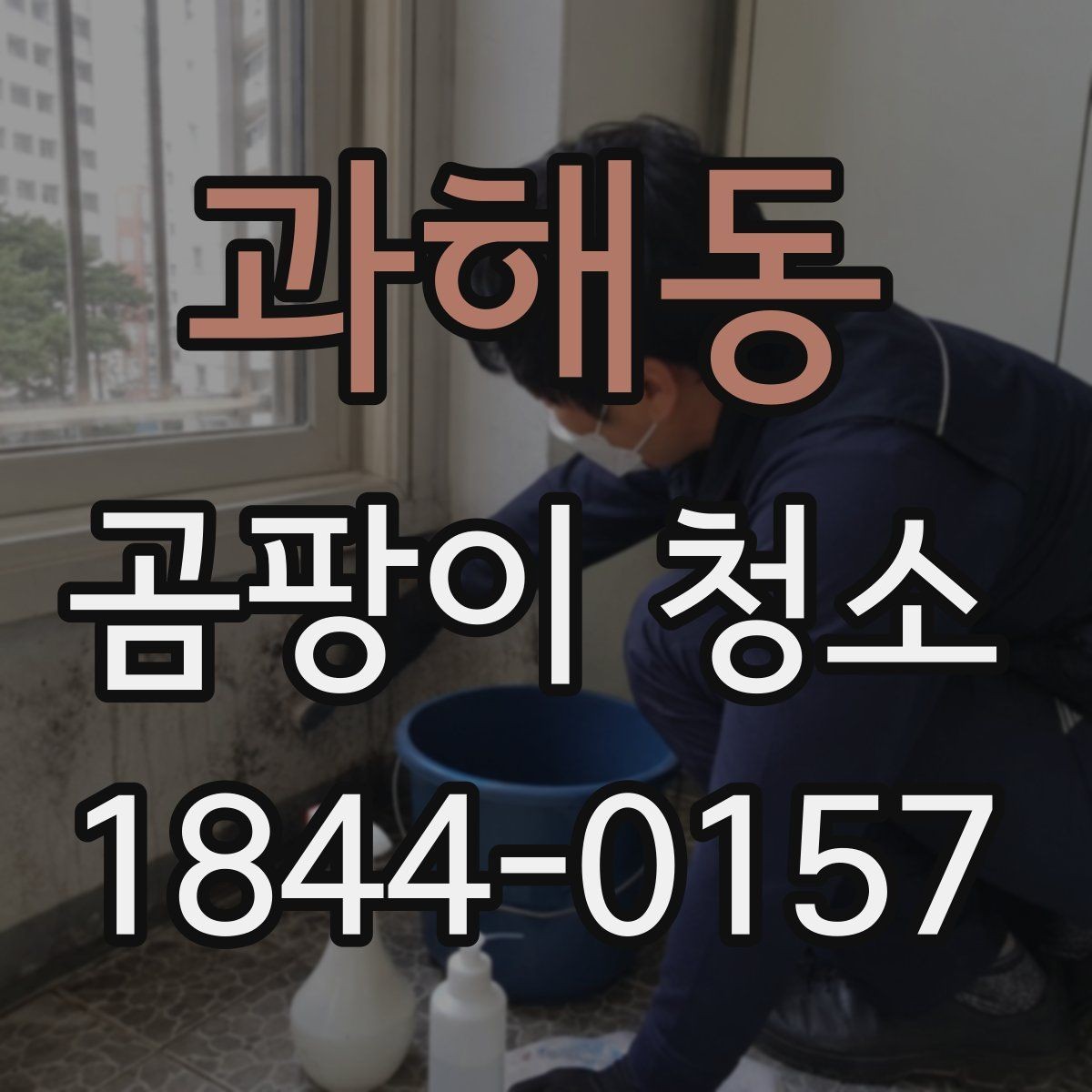 과해동 곰팡이 청소 시 벽지와 타일은 어떻게 다를까