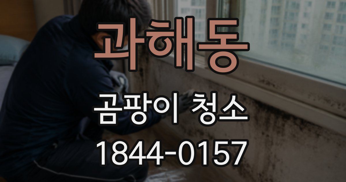 과해동 곰팡이 청소