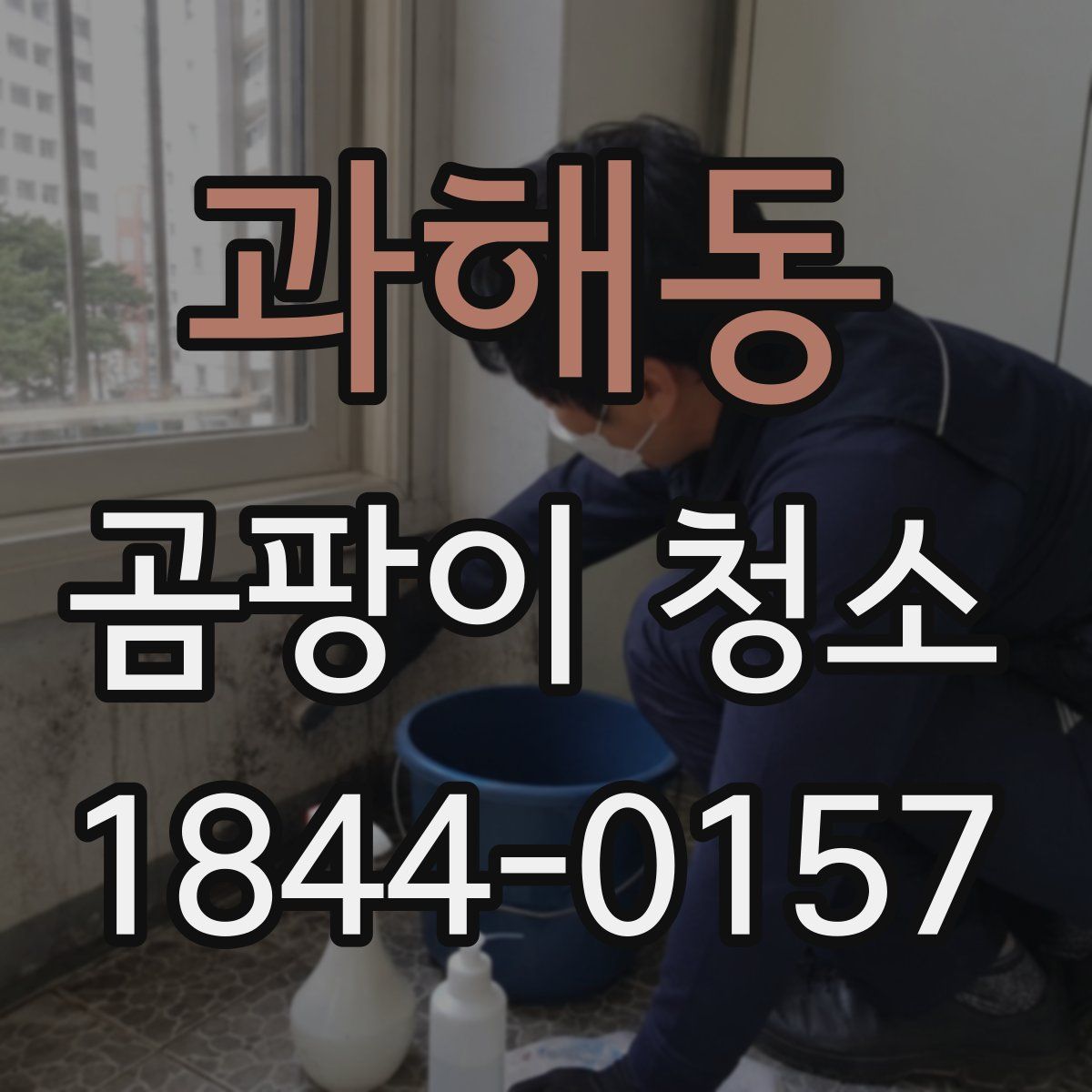 과해동 곰팡이 청소