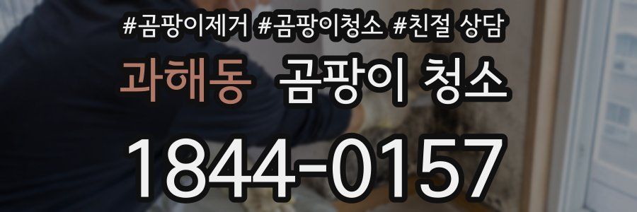 과해동 곰팡이 청소