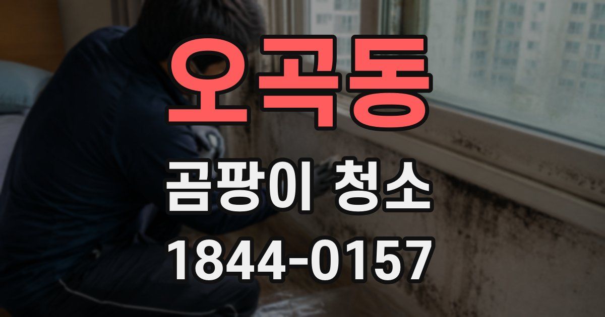 오곡동 곰팡이 청소