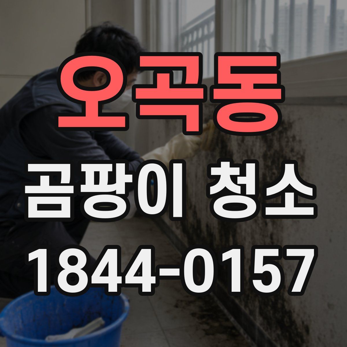오곡동 곰팡이 청소