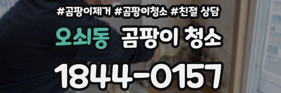 오쇠동 곰팡이 청소