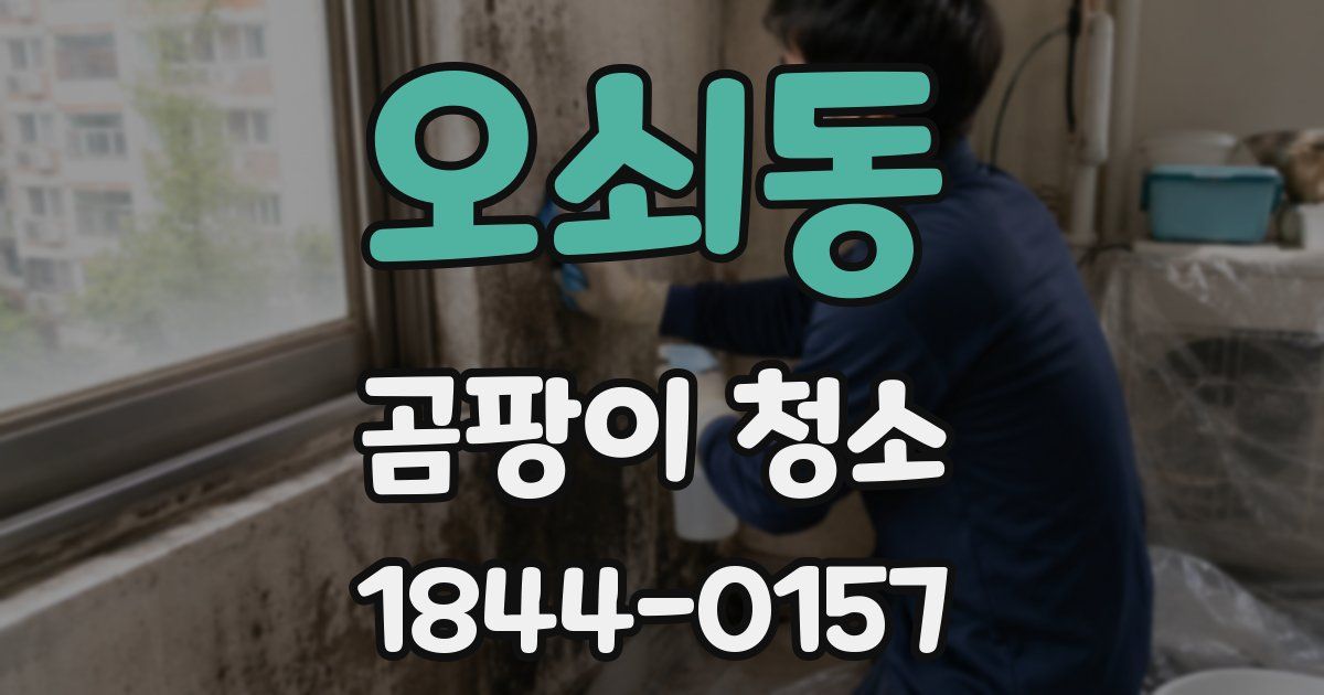 오쇠동 곰팡이 청소