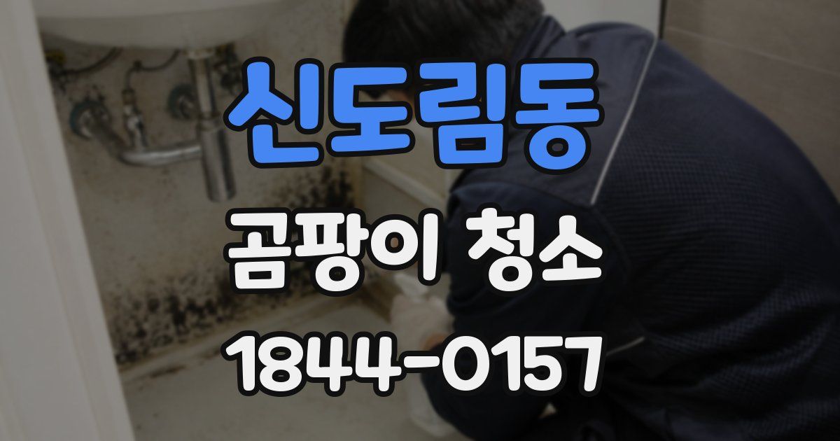 신도림동 곰팡이 청소