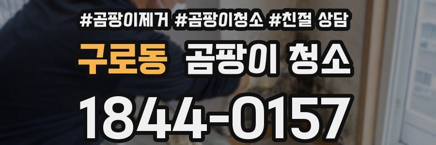 구로동 곰팡이 청소