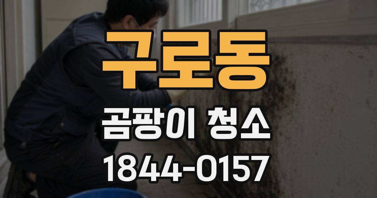 구로동 곰팡이 청소
