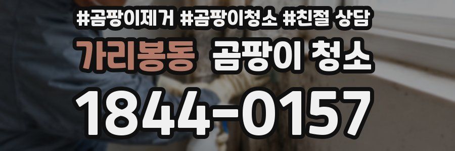 가리봉동 곰팡이 청소