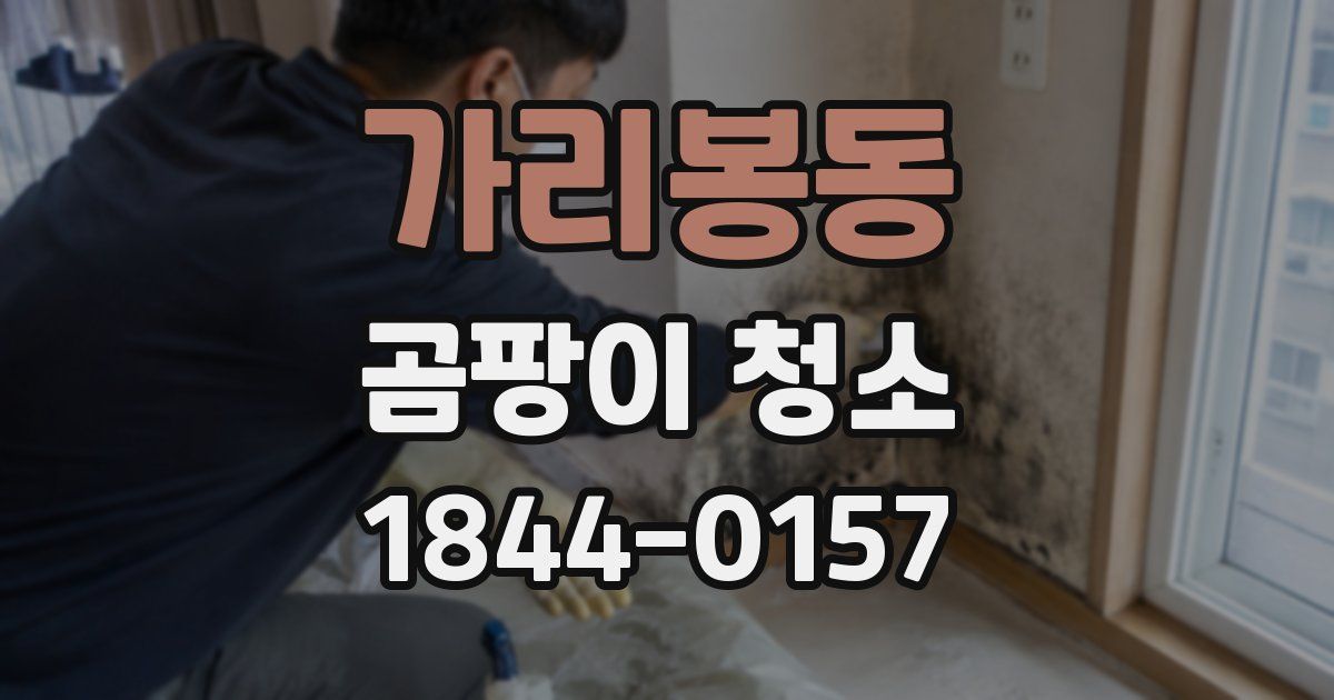 가리봉동 곰팡이 청소