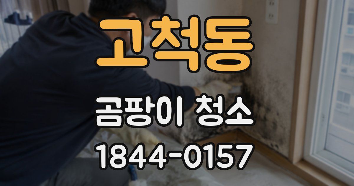 고척동 곰팡이 청소
