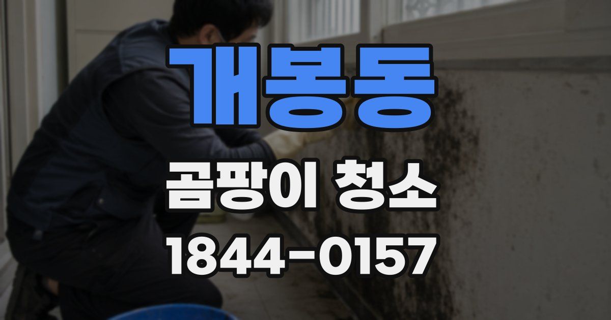 개봉동 곰팡이 청소