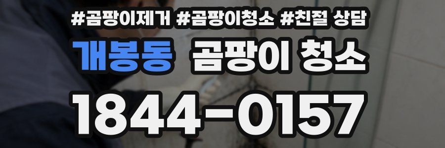 개봉동 곰팡이 청소