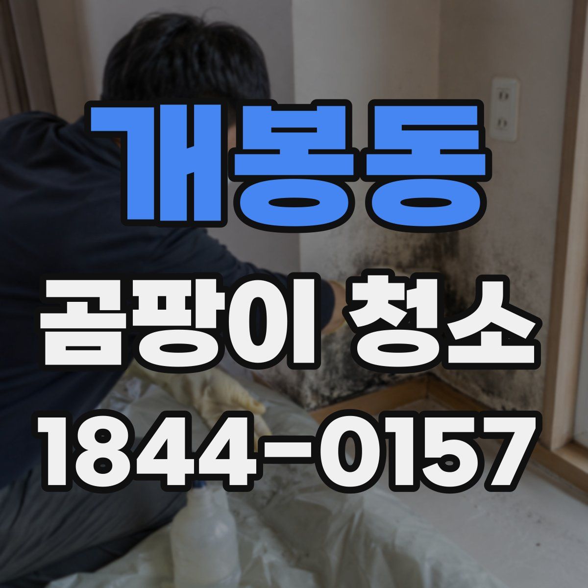 개봉동 곰팡이 청소