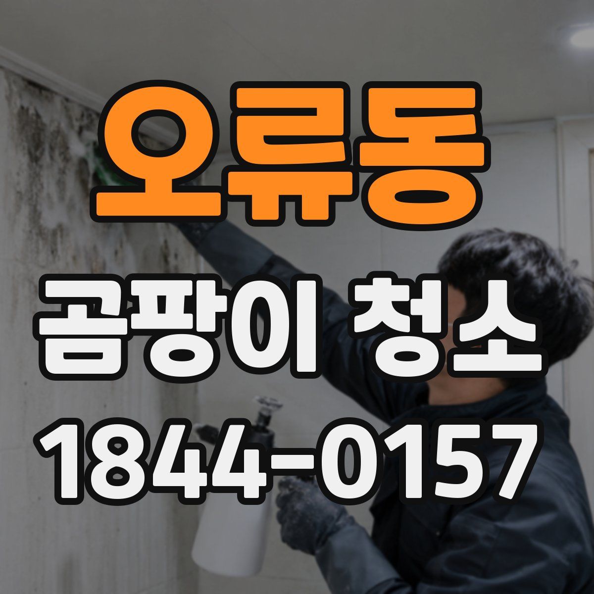 오류동 곰팡이 청소