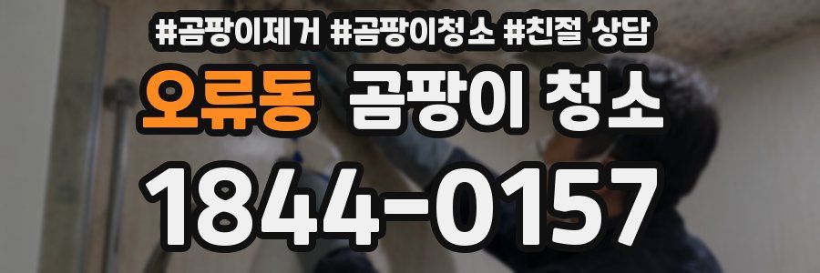 오류동 곰팡이 청소