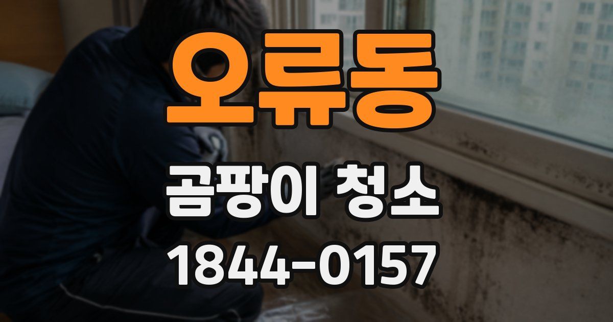 오류동 곰팡이 청소