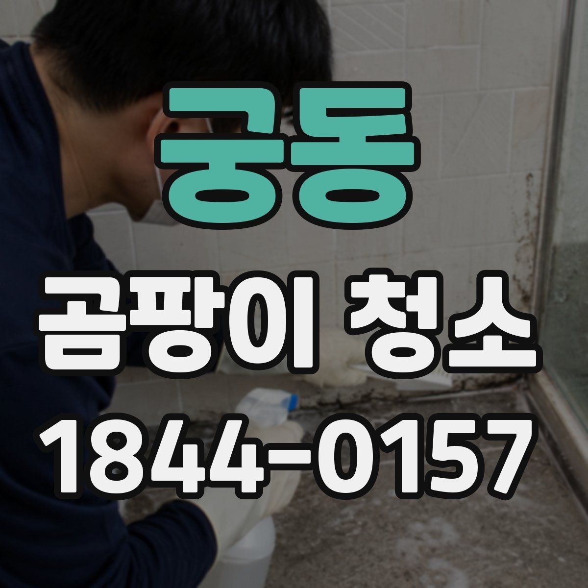 궁동 곰팡이 청소 전후 사진으로 보는 변화 포인트