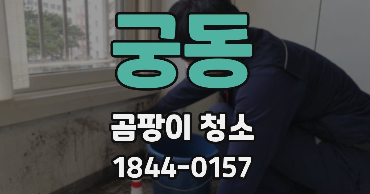 궁동 곰팡이 청소