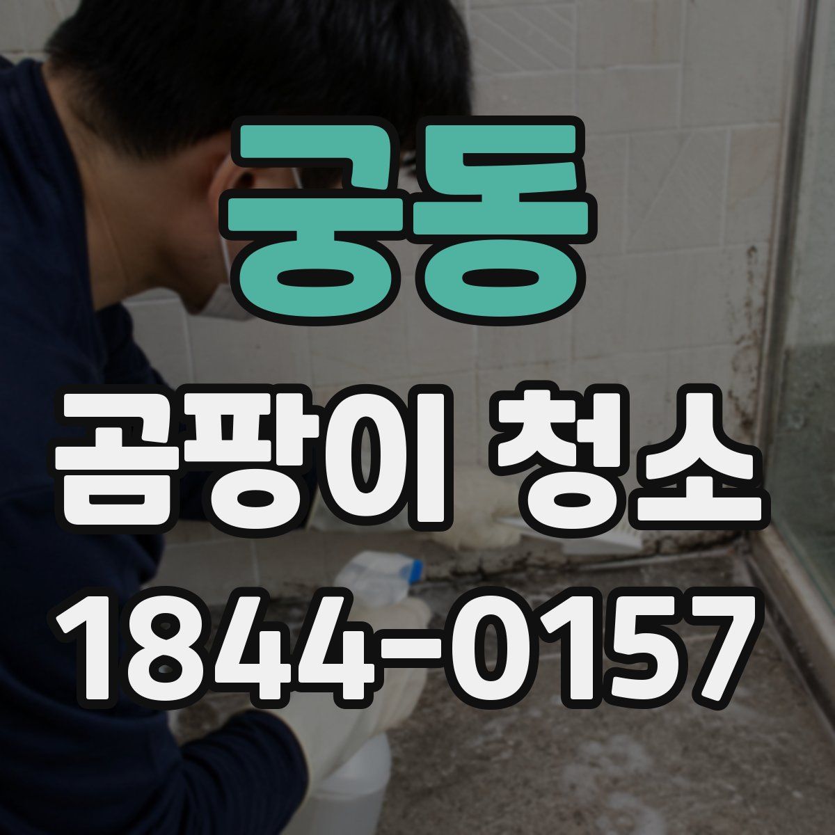 궁동 곰팡이 청소