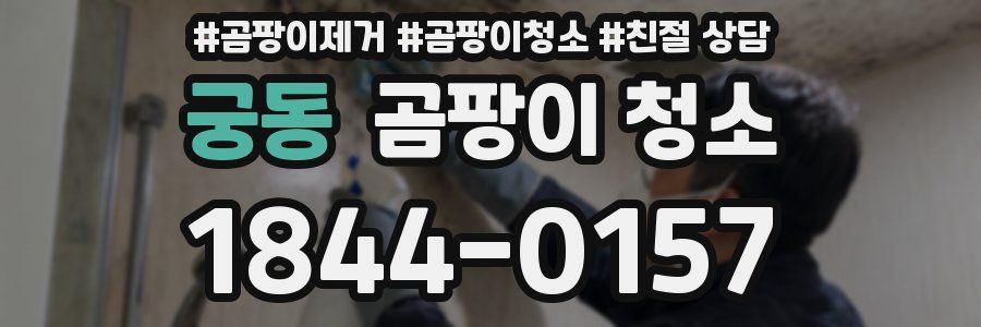 궁동 곰팡이 청소