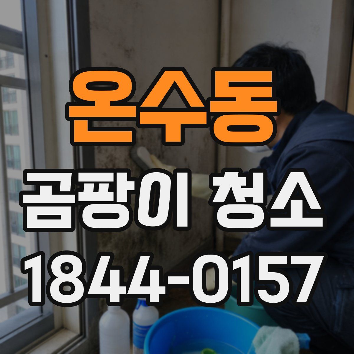 온수동 곰팡이 청소