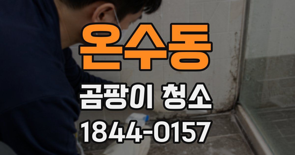 온수동 곰팡이 청소