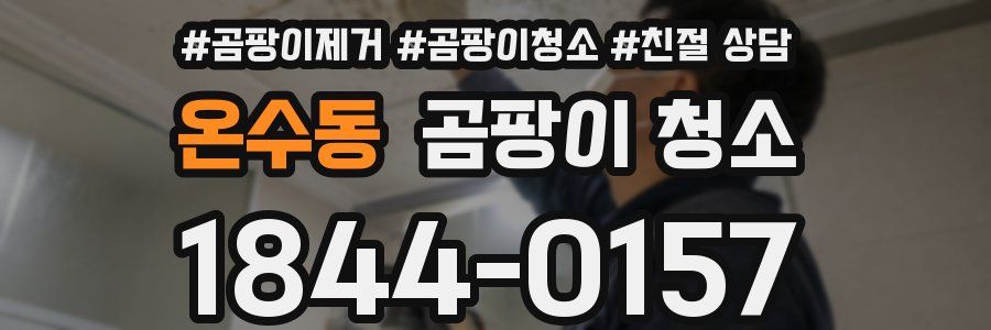 온수동 곰팡이 청소
