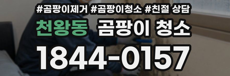 천왕동 곰팡이 청소